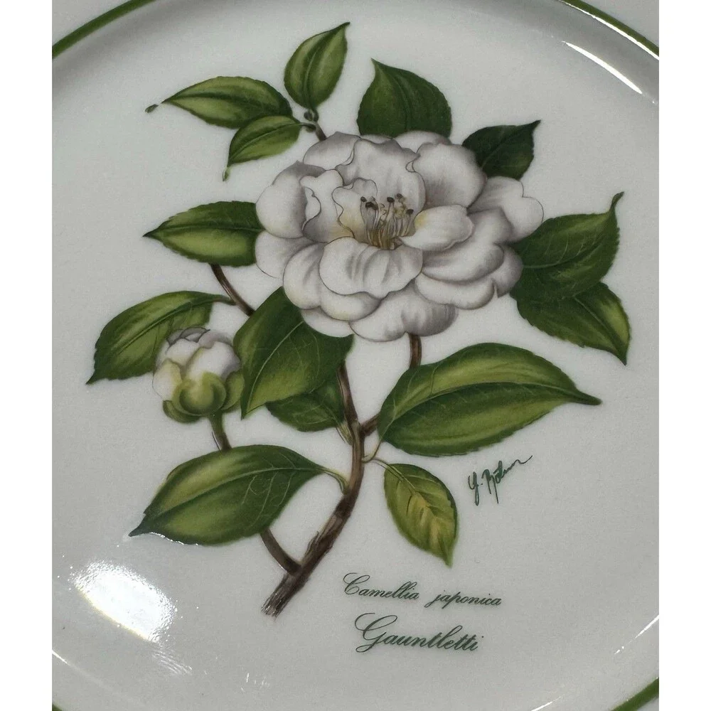 2 JWK Bavaria Camellia Japonica Gauntletti Floral Botanical Plates West Germany